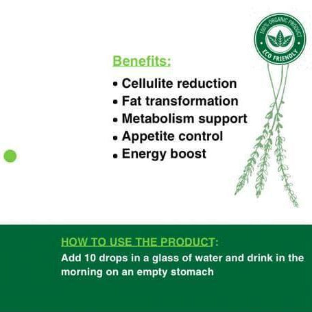 Advertisement for Phila Organics Lipo Belly Drops with product details and benefits on a white background.